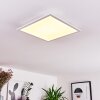 Badia Panel LED Blanca, 2 luces