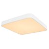 Globo LEANARA Lámpara de Techo LED Blanca, 1 luz, Mando a distancia