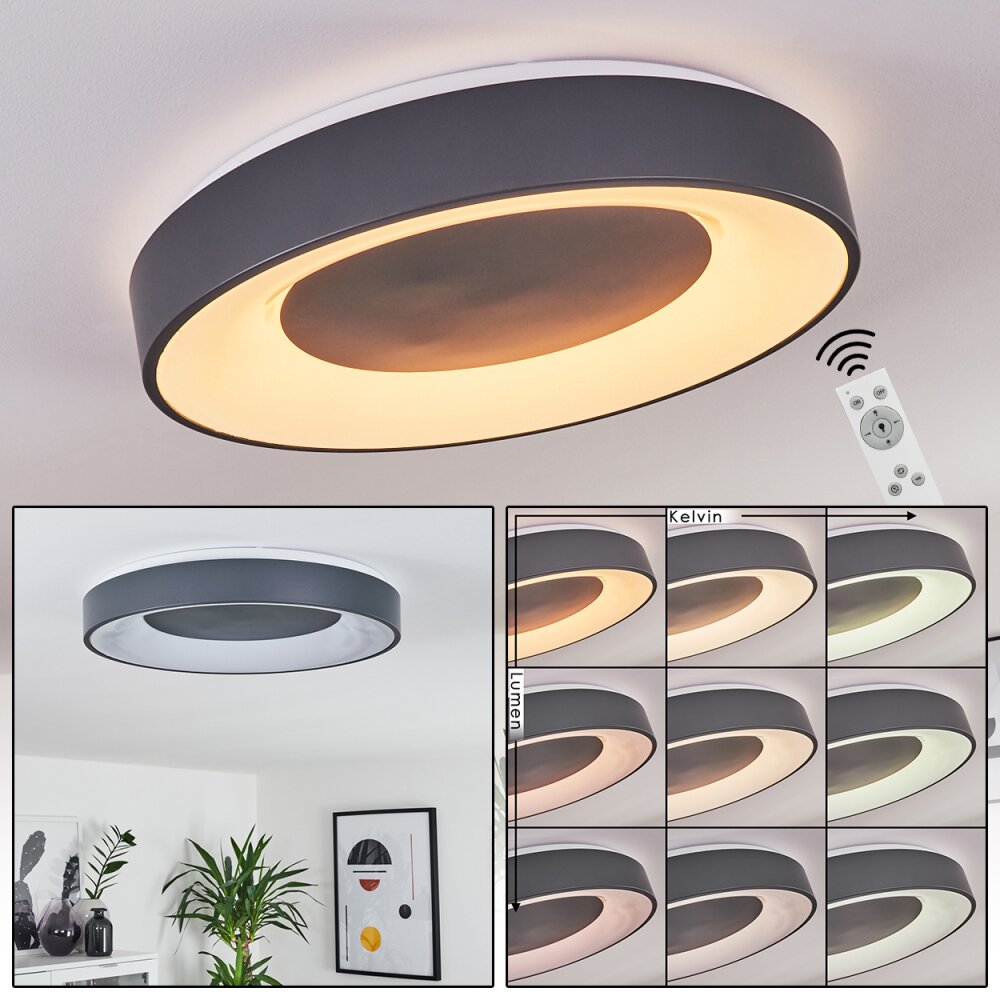 Casina Lámpara de Techo LED Antracita, Blanca, 1 luz, Mando a distancia main product photo