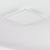 Gallitos Lámpara de Techo LED Blanca, 1 luz, Mando a distancia, Cambia de color