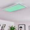 Gallitos Lámpara de Techo LED Blanca, 1 luz, Mando a distancia, Cambia de color