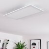 Gallitos Lámpara de Techo LED Blanca, 1 luz, Mando a distancia, Cambia de color