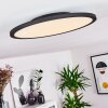 Nexo Lámpara de Techo LED Negro, 1 luz, Mando a distancia