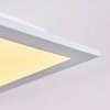 Nexo Panel LED Blanca, 1 luz