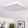 Nexo Panel LED Blanca, 1 luz