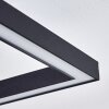Cavareno Lámpara de Techo LED Negro, 1 luz