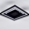 Cavareno Lámpara de Techo LED Negro, 1 luz