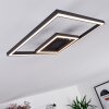 Cavareno Lámpara de Techo LED Negro, 1 luz