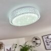 Suno Lámpara de Techo LED Transparente, claro, Blanca, 1 luz
