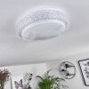 Suno Lámpara de Techo LED Transparente, claro, Blanca, 1 luz