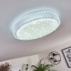 Suno Lámpara de Techo LED Transparente, claro, Blanca, 1 luz