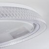 Feletto Lámpara de Techo LED Transparente, claro, Blanca, 1 luz, Mando a distancia