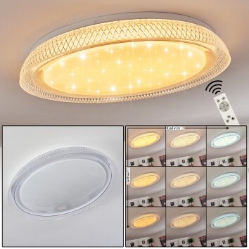 Feletto Lámpara de Techo LED Transparente, claro, Blanca, 1 luz, Mando a distancia