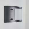 Pompeano Aplique para exterior LED Negro, 1 luz