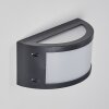 Pompeano Aplique para exterior LED Negro, 1 luz