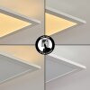 Nexo Panel LED Blanca, 2 luces