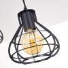 Gainsville Lámpara de Techo Negro, 7 luces