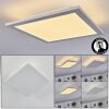 Nexo Panel LED Blanca, 1 luz