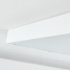 Pedemonte Panel LED Blanca, 1 luz
