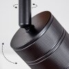 Raccuia Lámpara de Techo Madera oscura, Negro, 2 luces