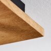 Raccuia Lámpara de Techo Madera oscura, Negro, 2 luces