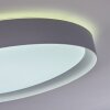 Beade Lámpara de Techo LED Gris, Blanca, 1 luz, Mando a distancia, Cambia de color