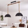 Teneru Lámpara Colgante Madera oscura, Negro, 2 luces