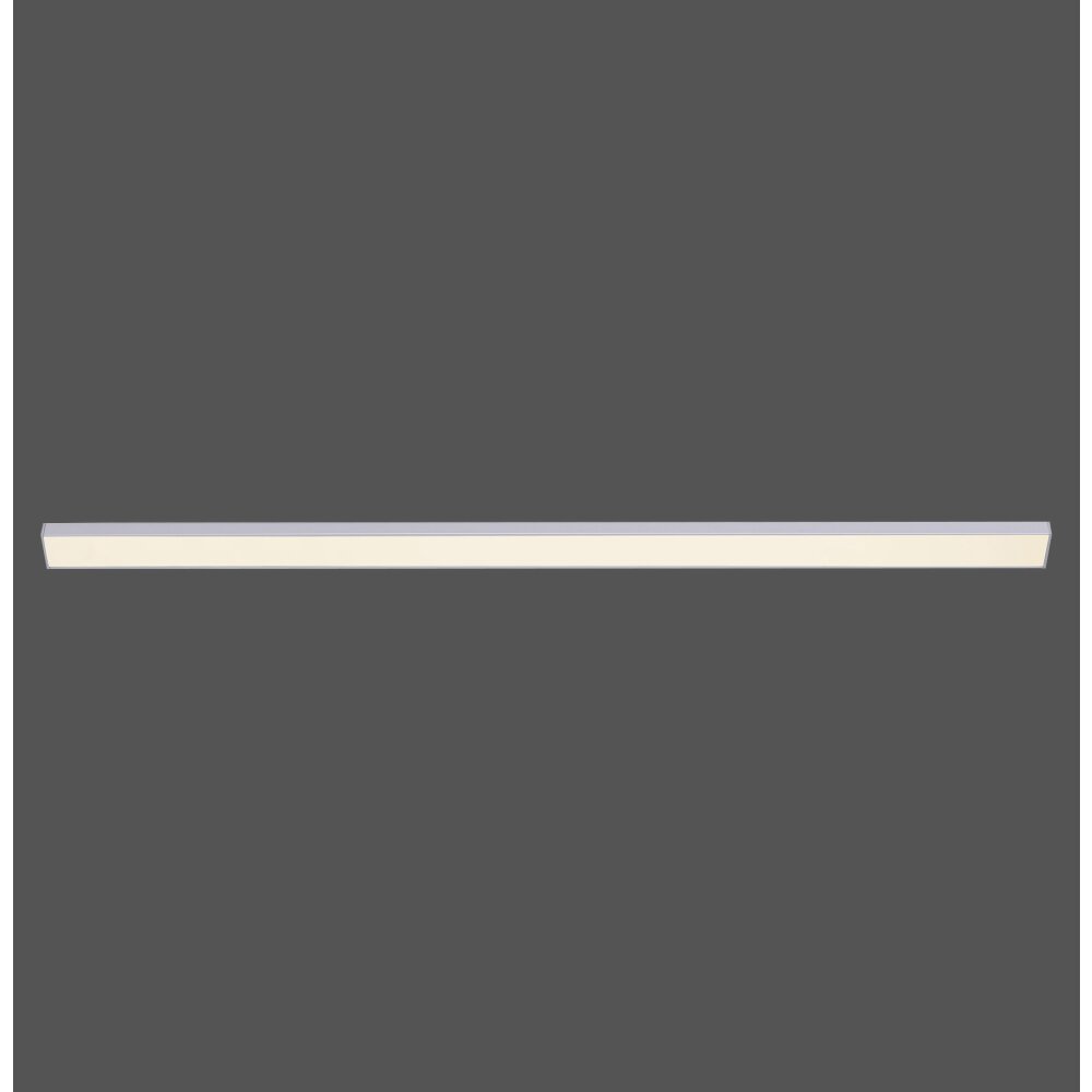Paul Neuhaus AMON Lámpara para armarios LED Plata 1125-21-A