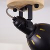 Tina Lámpara de Techo Madera oscura, Negro, 1 luz