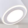 Appleton Lámpara de Techo LED Blanca, 1 luz