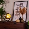 Oghu Lámpara de mesa Negro, 1 luz