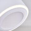 Appleton Lámpara de Techo LED Blanca, 3 luces