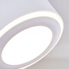 Appleton Lámpara de Techo LED Blanca, 2 luces