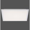 Leuchten Direkt FLAT Panel LED Blanca, 2 luces