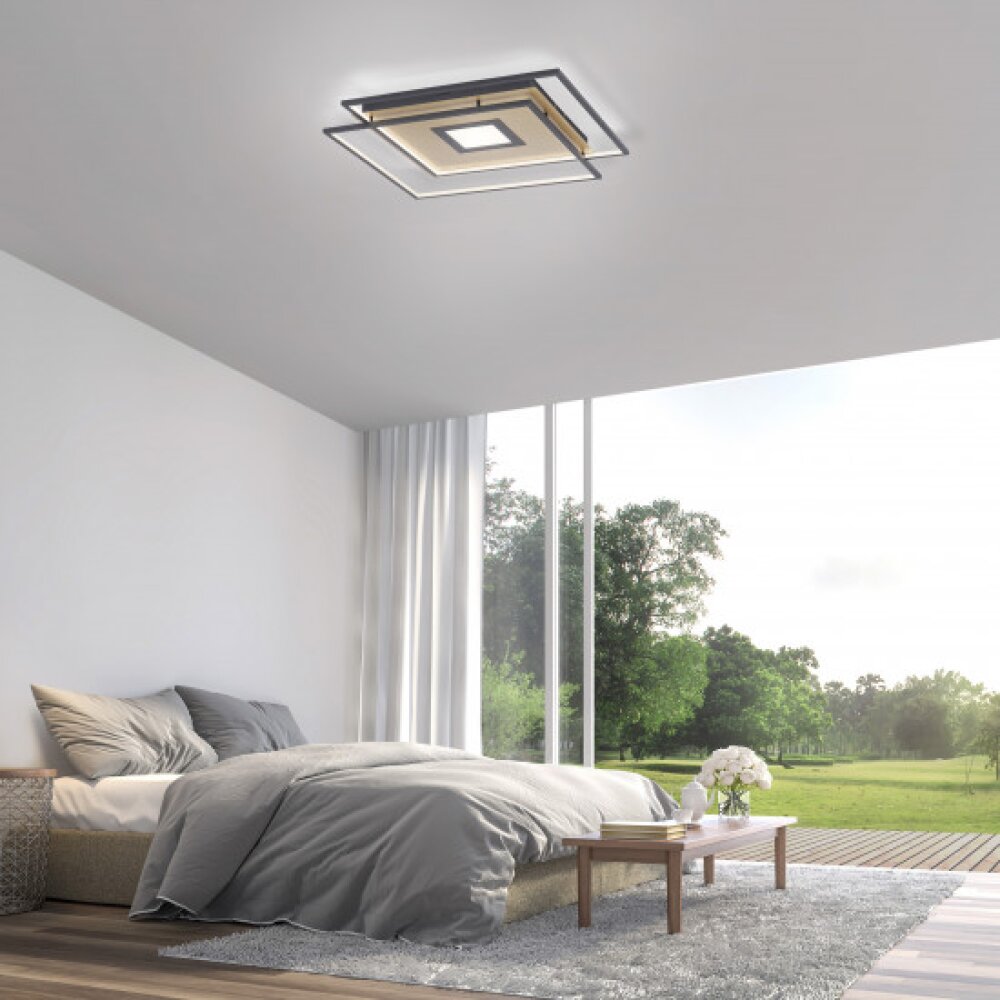 Paul Neuhaus Q-AMIRA Lámpara de Techo LED Negro, 1 luz, Mando a distancia main product photo