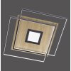Paul Neuhaus Q-AMIRA Lámpara de Techo LED Madera clara, 1 luz, Mando a distancia