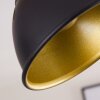 Tina Lámpara de Techo Madera oscura, Negro, 2 luces