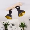 Tina Lámpara de Techo Madera oscura, Negro, 2 luces