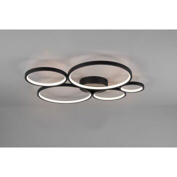 Trio Rondo Lámpara de Techo LED Negro, 1 luz