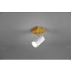 Trio Marley Proyector Madera clara, 1 luz