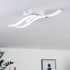 Letala Lámpara de Techo LED Blanca, 3 luces