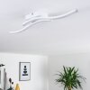 Letala Lámpara de Techo LED Blanca, 2 luces