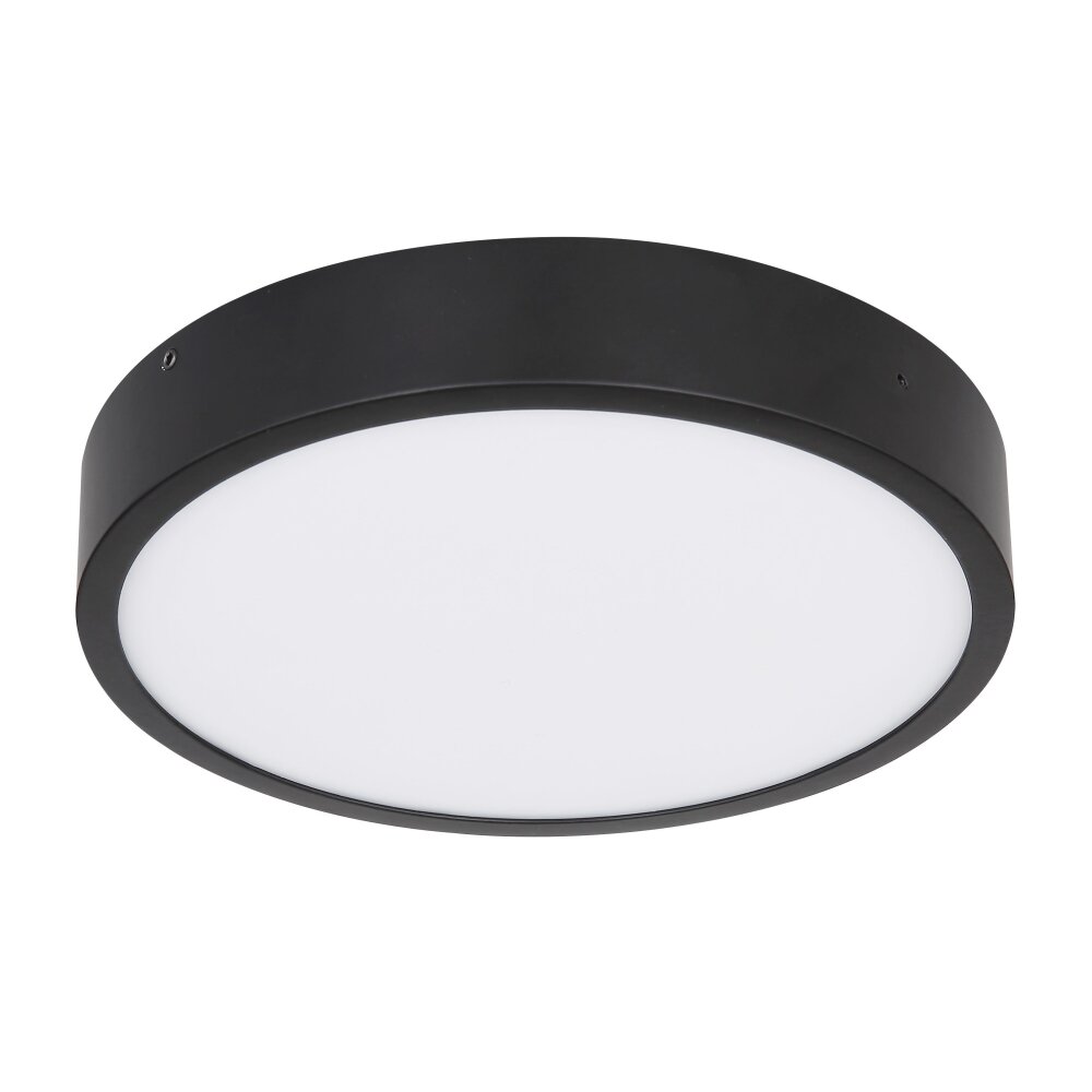 Globo LUCENA Lámpara de Techo LED Negro, 1 luz main product photo