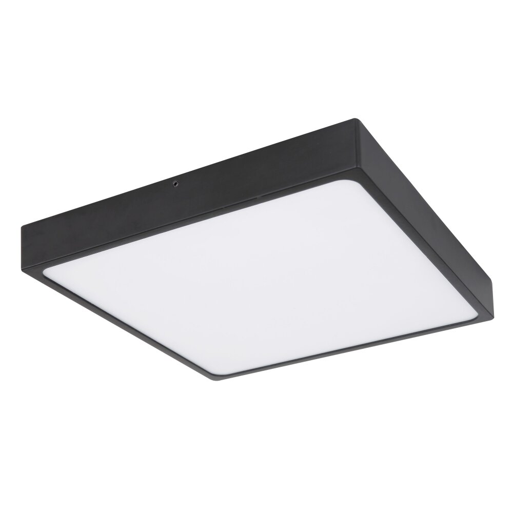 Globo ECHO Lámpara de Techo LED Negro, 1 luz main product photo