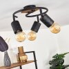 Raccuia Lámpara de Techo Madera oscura, Negro, 3 luces