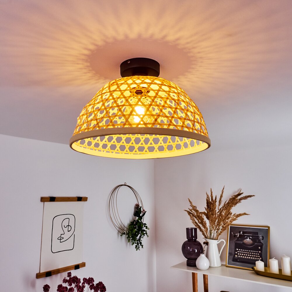 Flansum Lámpara de Techo Negro, 1 luz main product photo