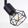 Baripada Lámpara de Techo Negro, 6 luces