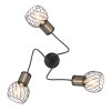 Globo ARGUSTO Lámpara de Techo Negro, 3 luces