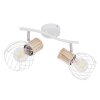 Globo LUISE Proyector Blanca, 2 luces