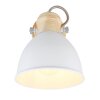 Globo WIHO Proyector Madera oscura, Blanca, 1 luz